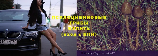 стаф Верхний Тагил