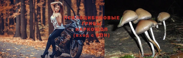 а пвп мука Бородино