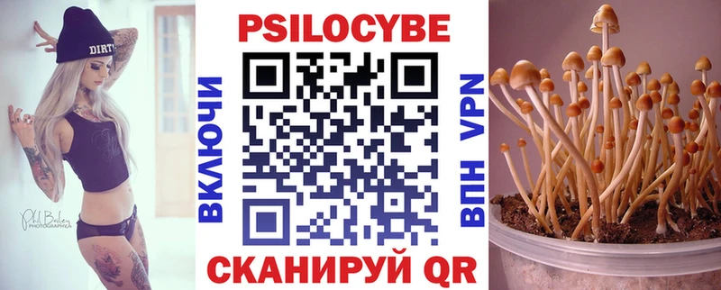 Псилоцибиновые грибы Psilocybe  Купить где  Спасск 